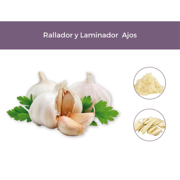 Grattugia Quttin 23 x 5 x 4 cm (24 Unità)