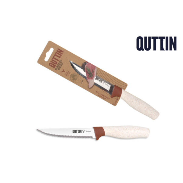 Coltello da Cucina Quttin Terra 12 cm (36 Unità)