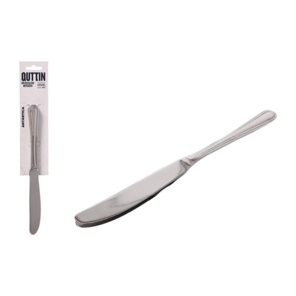 Set di Coltelli Quttin Antártica Argentato Acciaio inossidabile 21,6 x 1,8 cm 2 Pezzi (12 Unità)