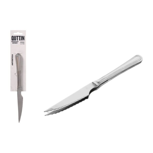 Set di Coltelli per Carne Quttin Antártica Argentato Acciaio inossidabile 21,5 x 1,9 cm 2 Pezzi (12 Unità)