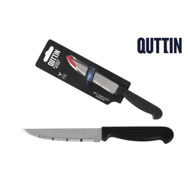 Coltello Quttin Laser 25,5 x 6 x 1,3 cm