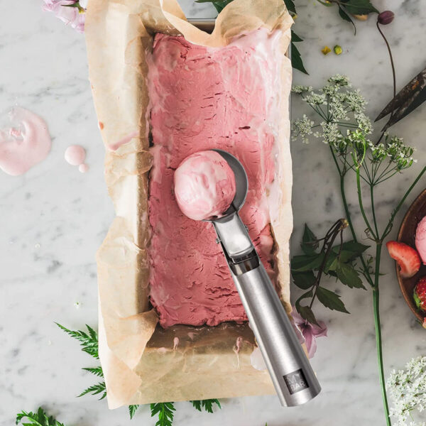 Cucchiaio per Gelato My Bar Argentato Acciaio inossidabile 19 x 5,7 cm (24 Unità)