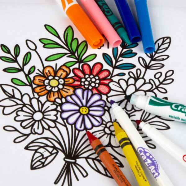 Set da Disegno Cra-Z-Art (6 Unità)