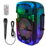 Altoparlante con Microfono Karaoke Bontempi Plastica 25 x 39 x 21 cm (2 Unità)