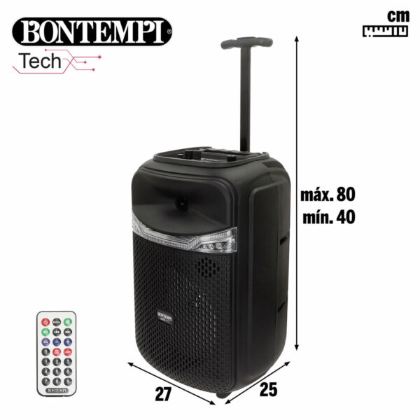 Altoparlante con Microfono Karaoke Bontempi Plastica 27 x 40 x 25 cm (2 Unità)