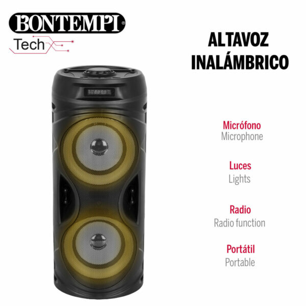 Altoparlante con Microfono Karaoke Bontempi Plastica 16 x 38 x 16 cm (2 Unità)