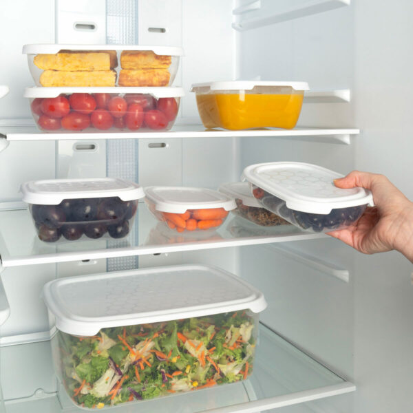 Porta pranzo Max Home polipropilene (6 Unità)