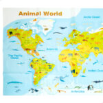 Set Animali Selvaggi Colorbaby Plastica 15 x 10 x 8 cm (4 Unità)