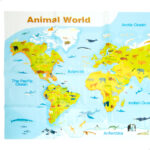 Figure di animali Colorbaby Plastica 23 X 10 X 7 CM (4 Unità)