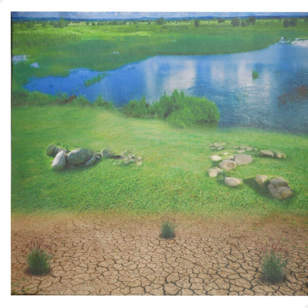 Set Animali della Fattoria Colorbaby Plastica 16 x 12 x 4 cm (4 Unità)