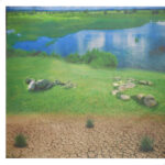 Set Animali Selvaggi Colorbaby Plastica 13 x 12 x 5 cm (4 Unità)