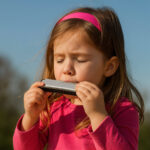 Armonica Bontempi Metallo Plastica 18 X 2 X 3 CM (12 Unità)